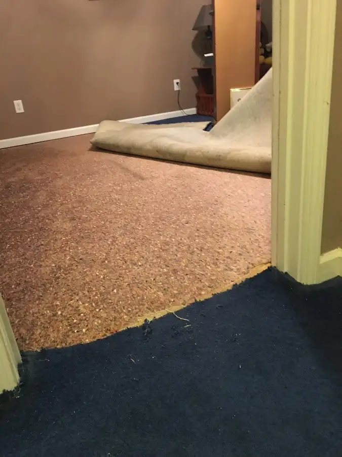 Carpet pad removal revealing water damage during Drying & Dehumidification in Lealman
