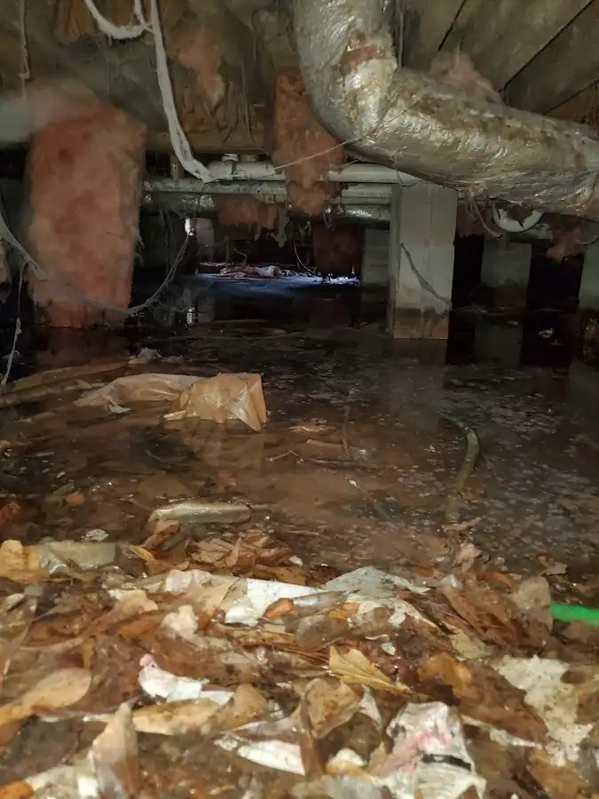 Crawl space flood assessment for Commercial Water Damage Restoration in Lealman