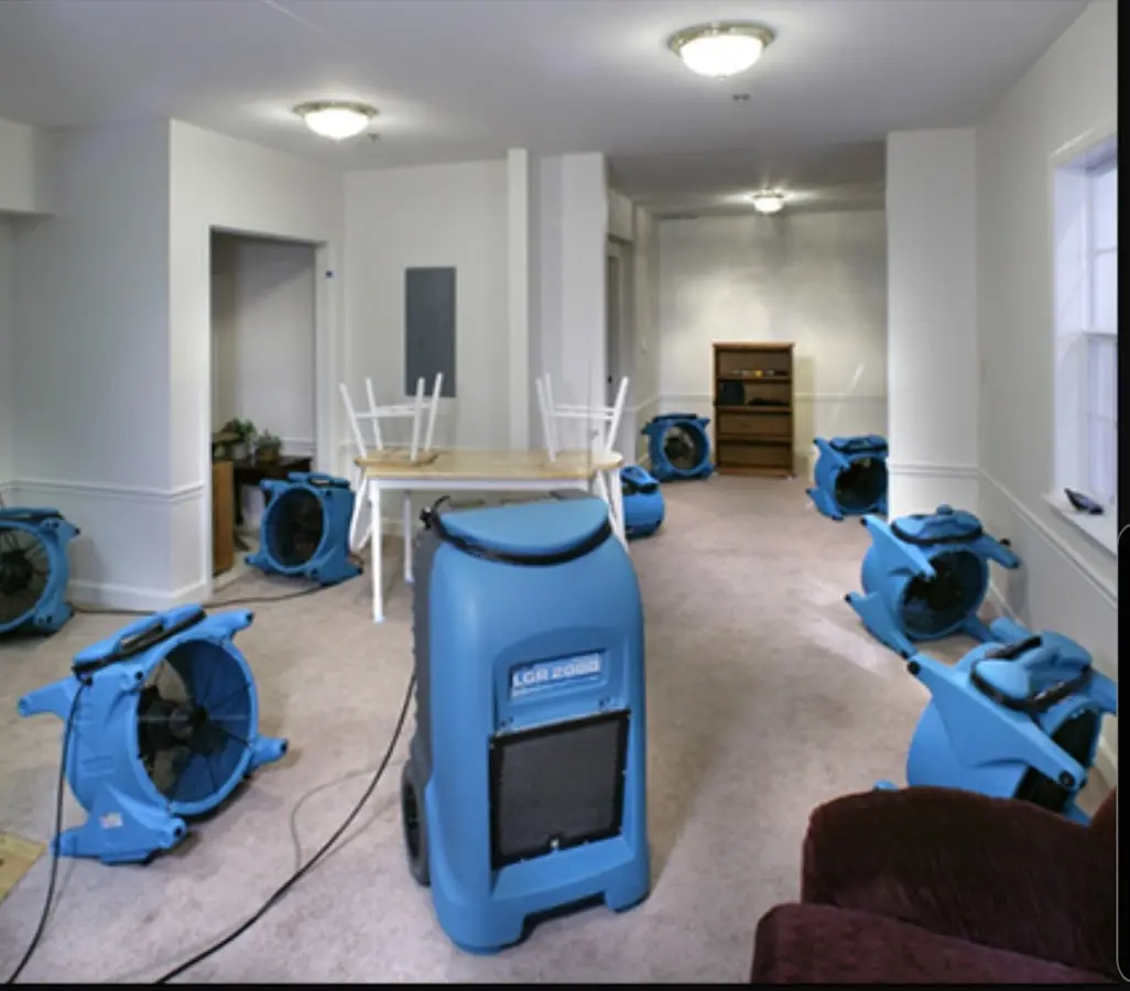 Air movers and dehumidifier setup for Water Extraction & Removal in Lealman