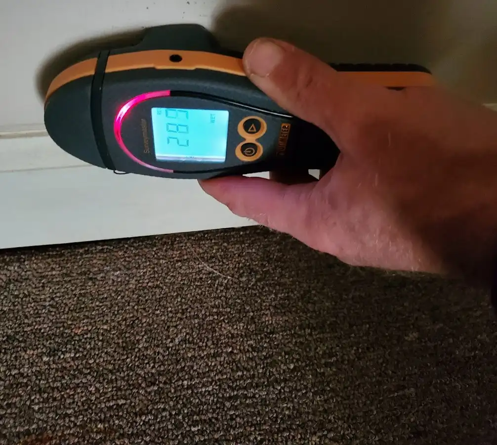 Moisture detection at baseboard during Storm Damage Restoration in Lealman