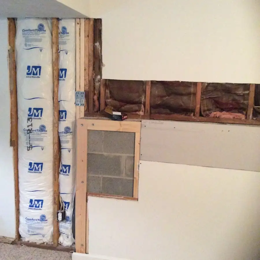 Wall insulation replacement during Odor Removal & Deodorization in Lealman